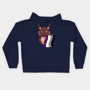 Ace Pride Degu Kids Hoodie